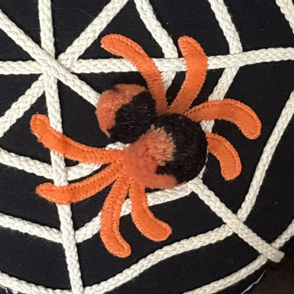 Pier 1 Spider & Web Round Pillow